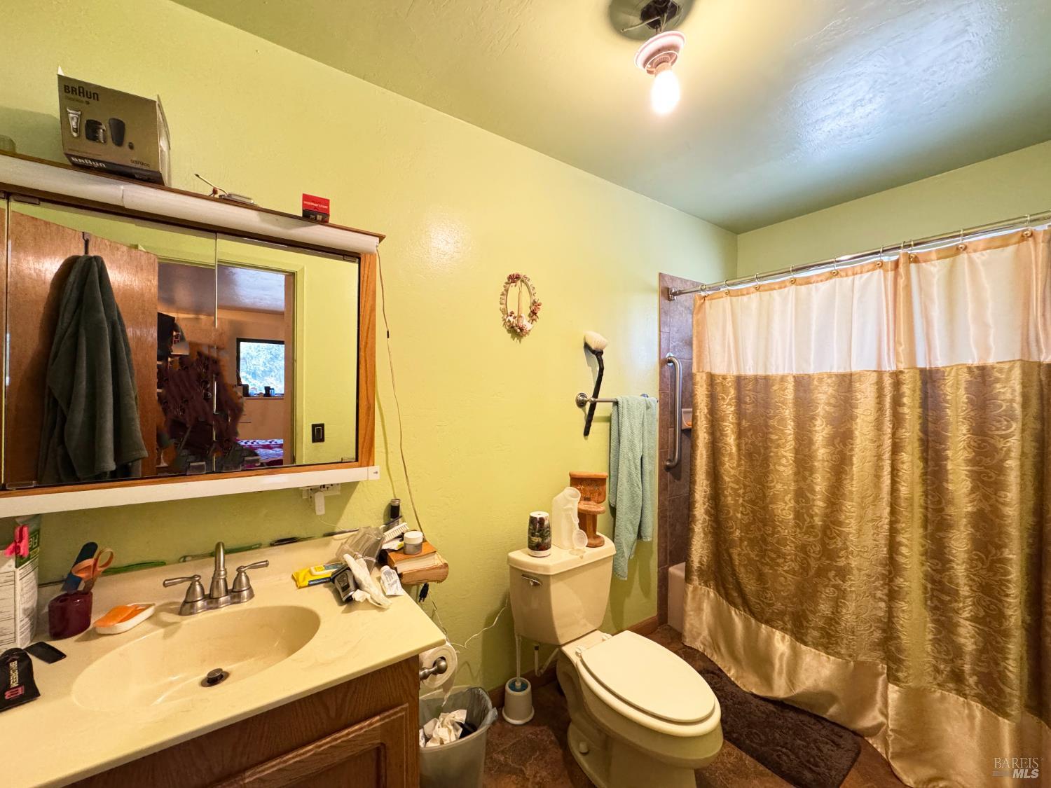 3981 Eastside Calpella Road Ukiah, CA 95482 - Photo 70 of 78 a bathroom with a sink mirror and toilet