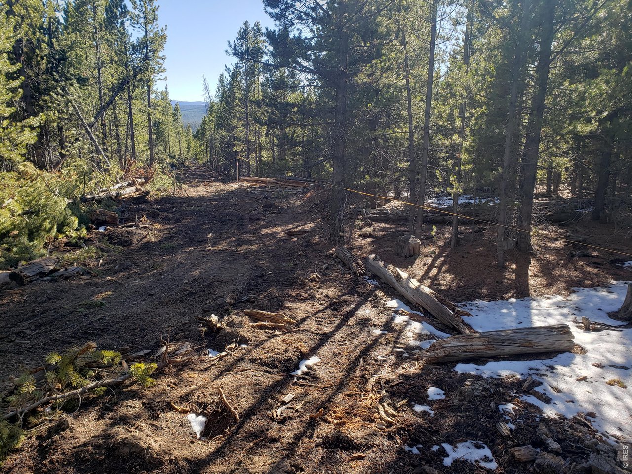 0 Forest Service 169 Road Red Feather Lakes, CO 80545 - Photo 2 of 6 Driveway to the property is roughed in and will be improved by the Seller