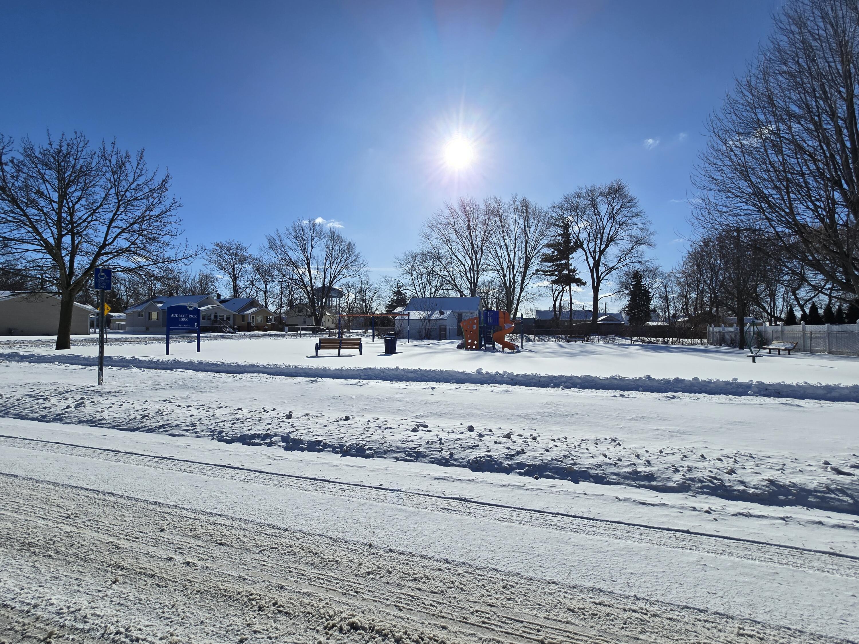 1909 Minnie Street Port Huron, MI 48060 - Photo 24 of 24 20260123_115012