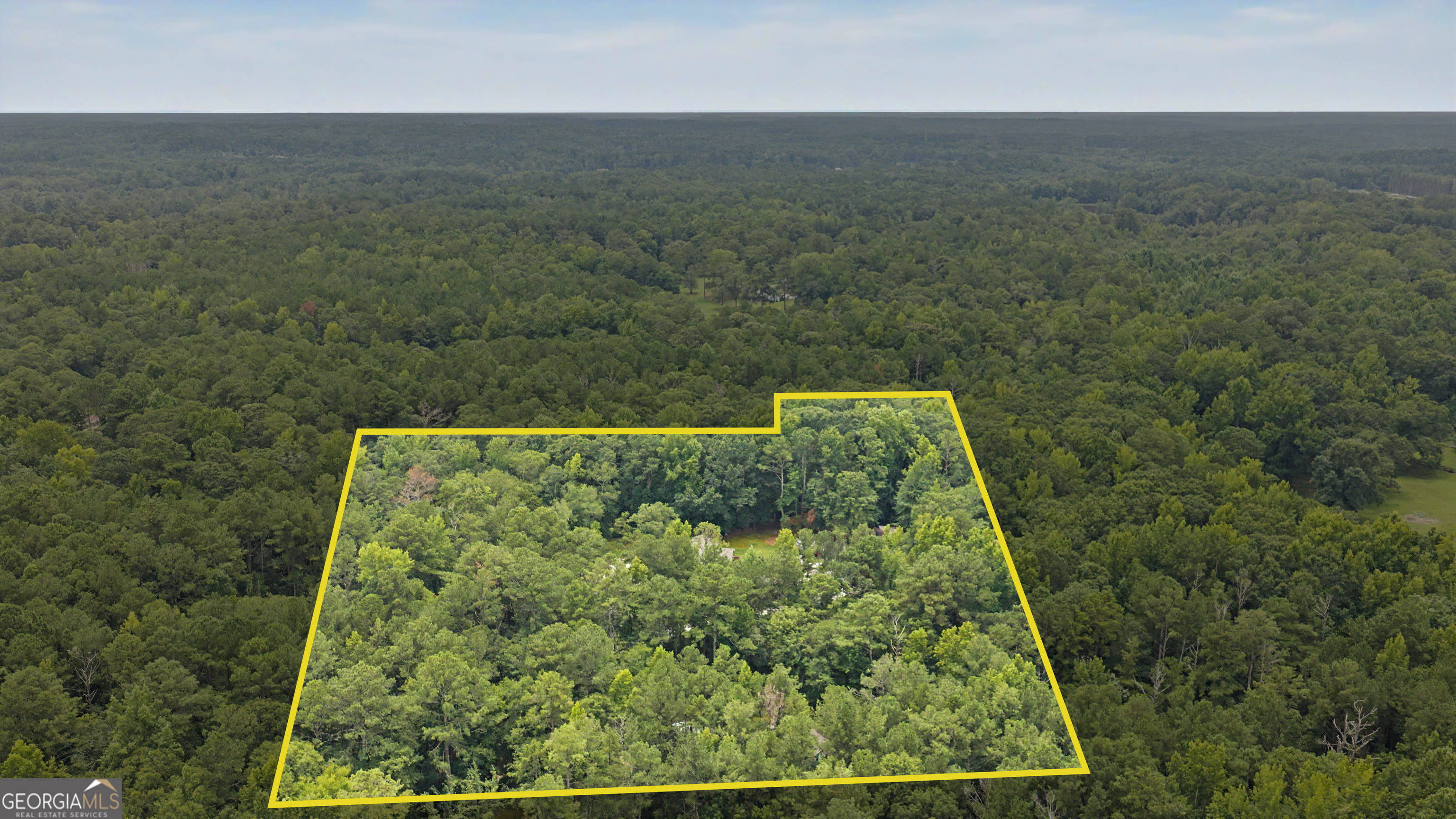 331 Clearwater Road Sharpsburg, GA 30277 - Photo 73 of 75