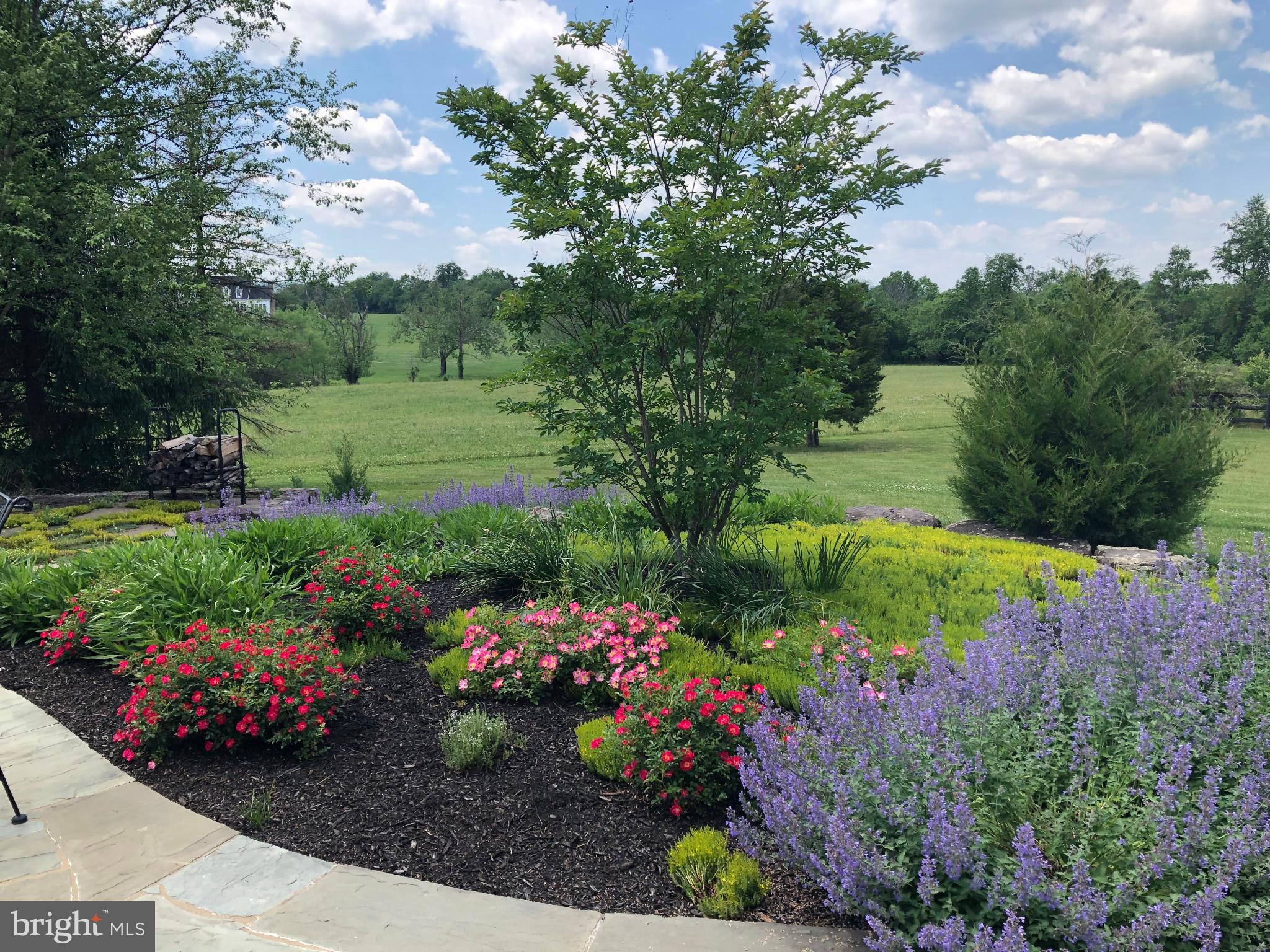 15371 Limestone School Road Leesburg, VA 20176 - Photo 11 of 54 Vibrant blooms frame a serene landscape.