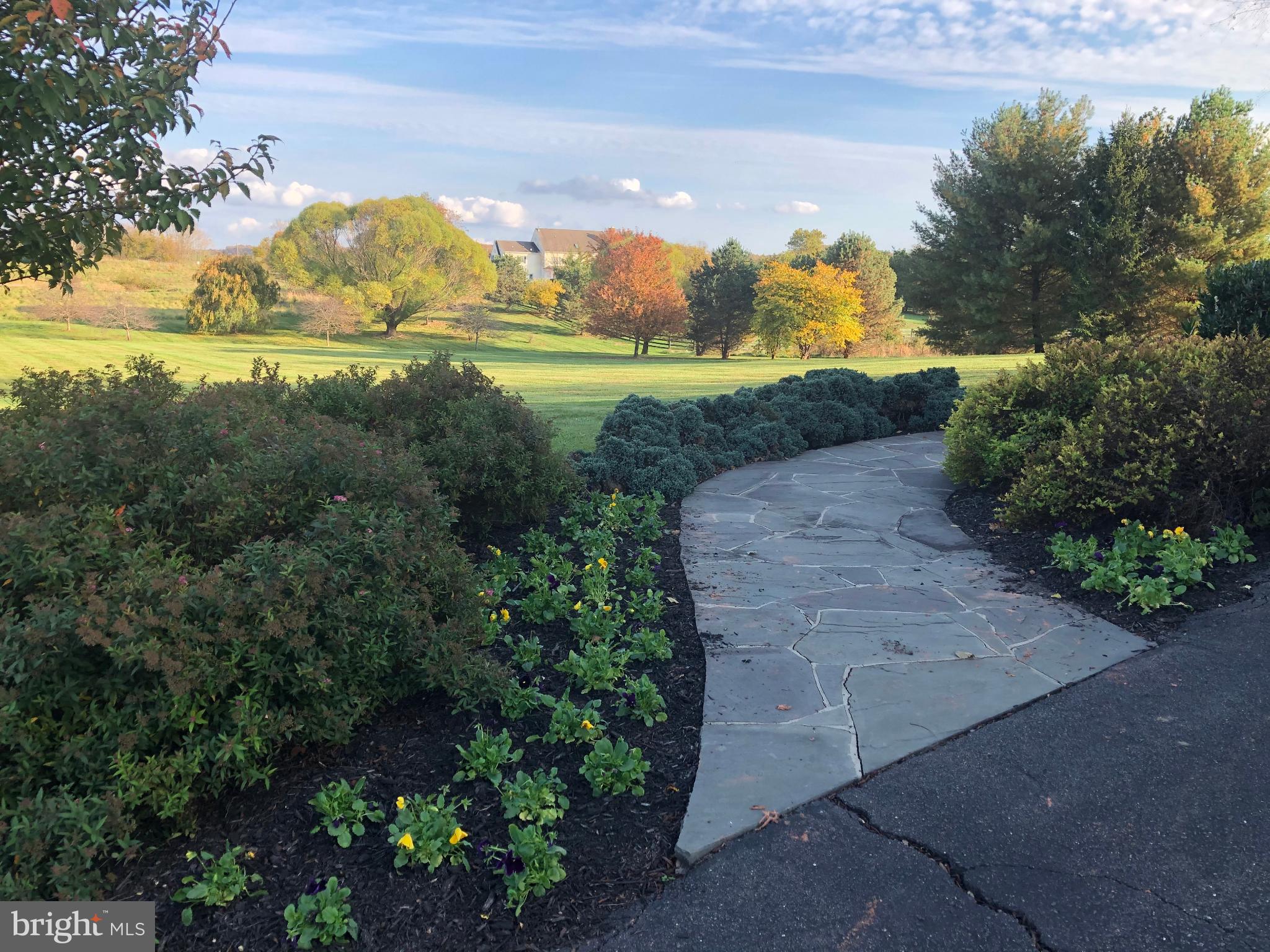 15371 Limestone School Road Leesburg, VA 20176 - Photo 14 of 54 Serene pathway through vibrant autumn foliage.