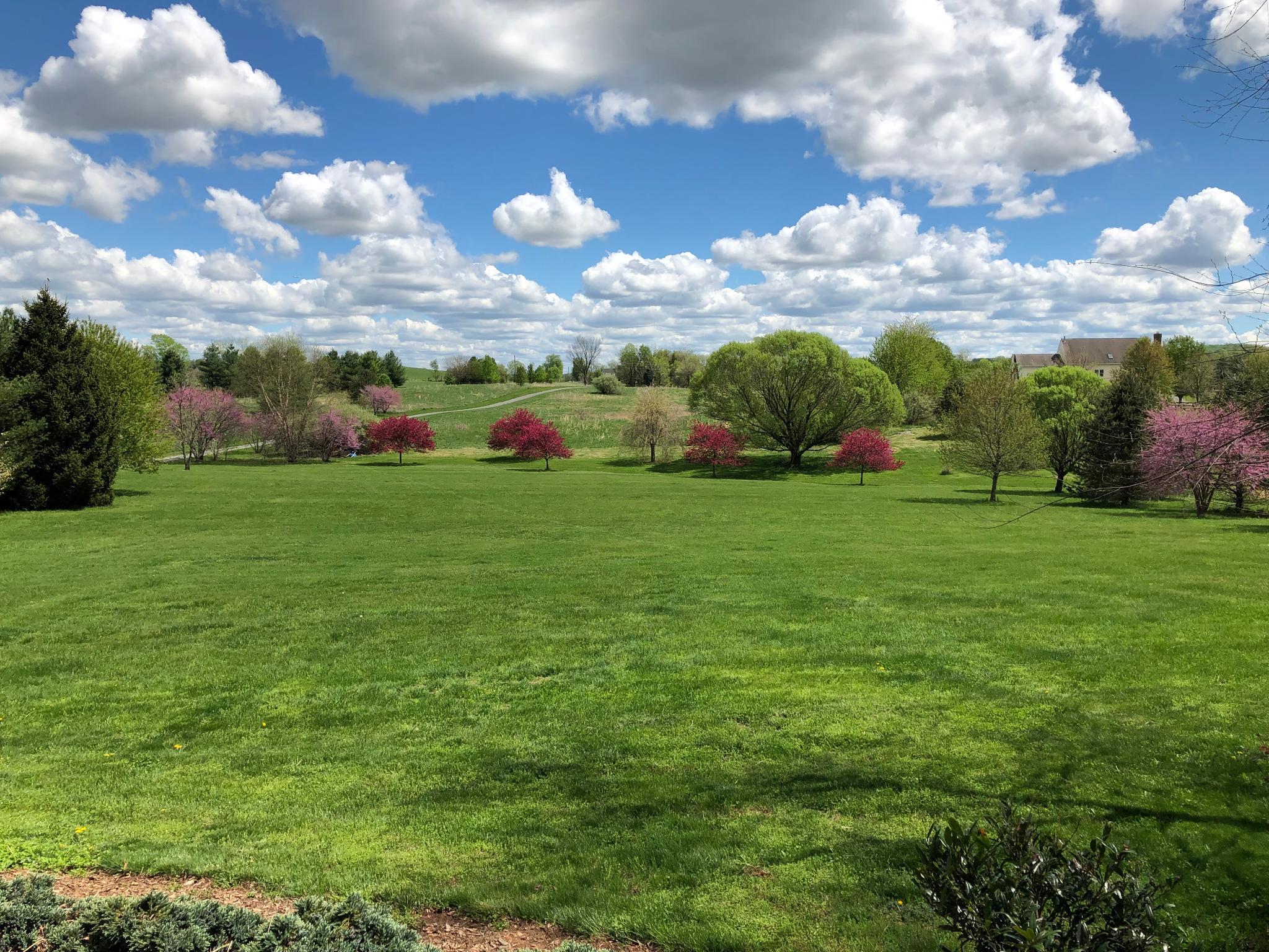 15371 Limestone School Road Leesburg, VA 20176 - Photo 4 of 71 Protected view, your front yard forever preserved