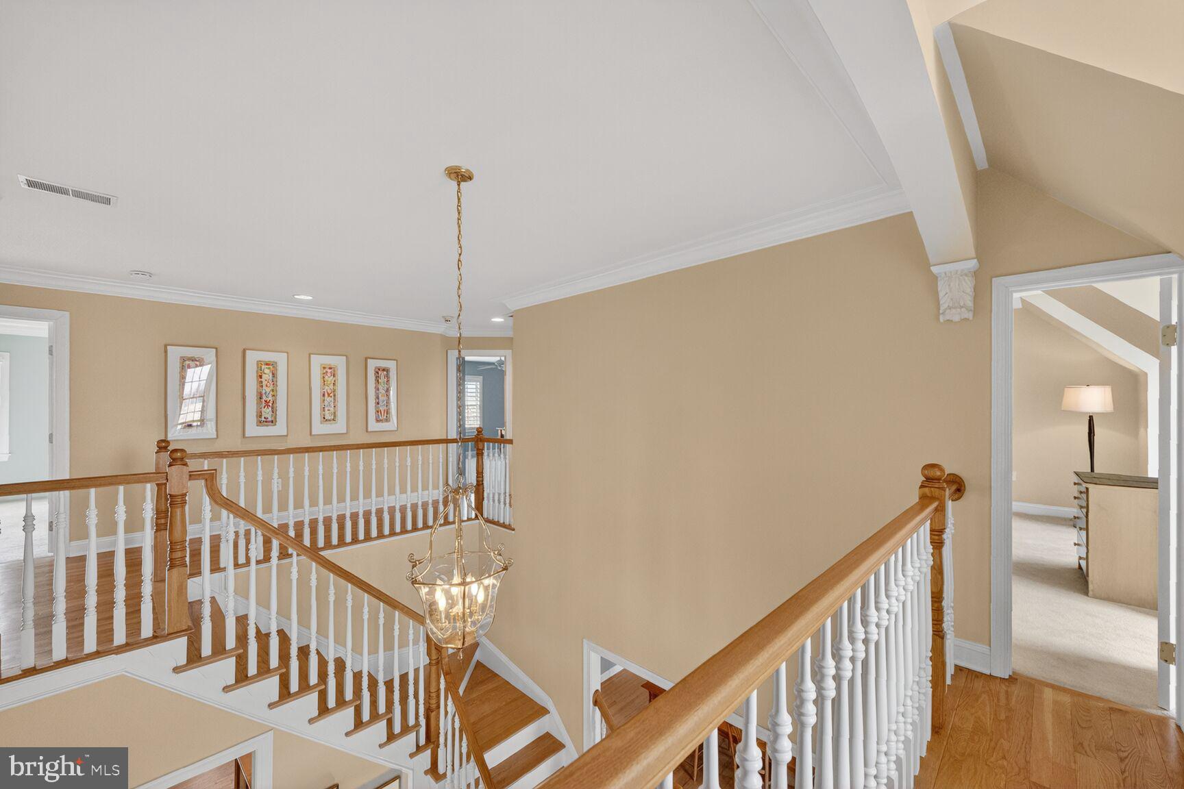 15371 Limestone School Road Leesburg, VA 20176 - Photo 47 of 54 Elegant staircase with warm tones.
