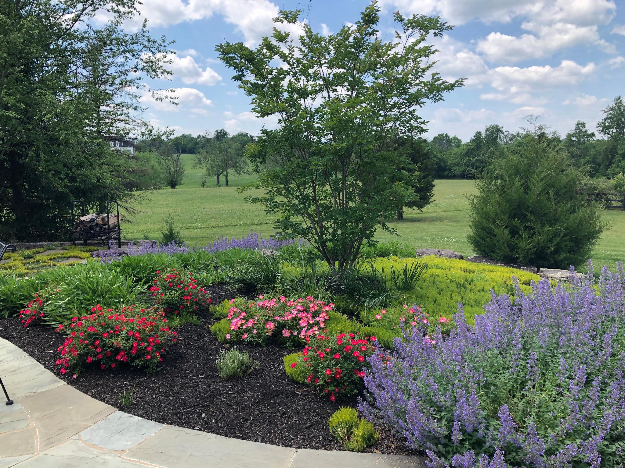 15371 Limestone School Road Leesburg, VA 20176 - Photo 49 of 71 Vibrant blooms frame a serene backyard landscape.