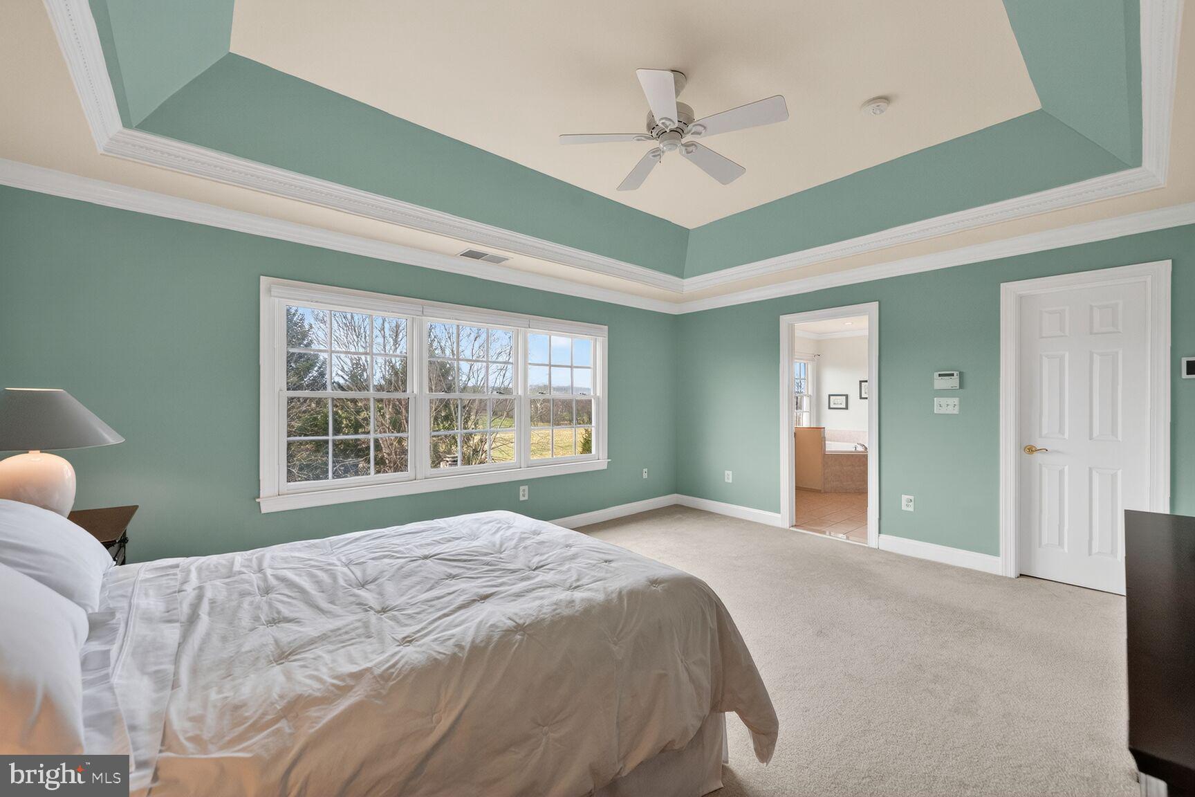 15371 Limestone School Road Leesburg, VA 20176 - Photo 52 of 54 Serene bedroom with scenic views.