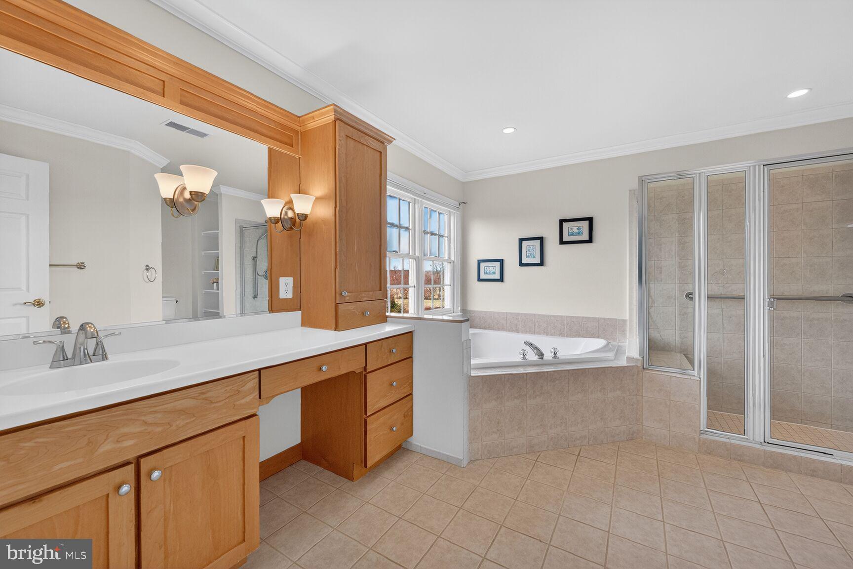15371 Limestone School Road Leesburg, VA 20176 - Photo 53 of 54 Elegant bathroom with natural light.
