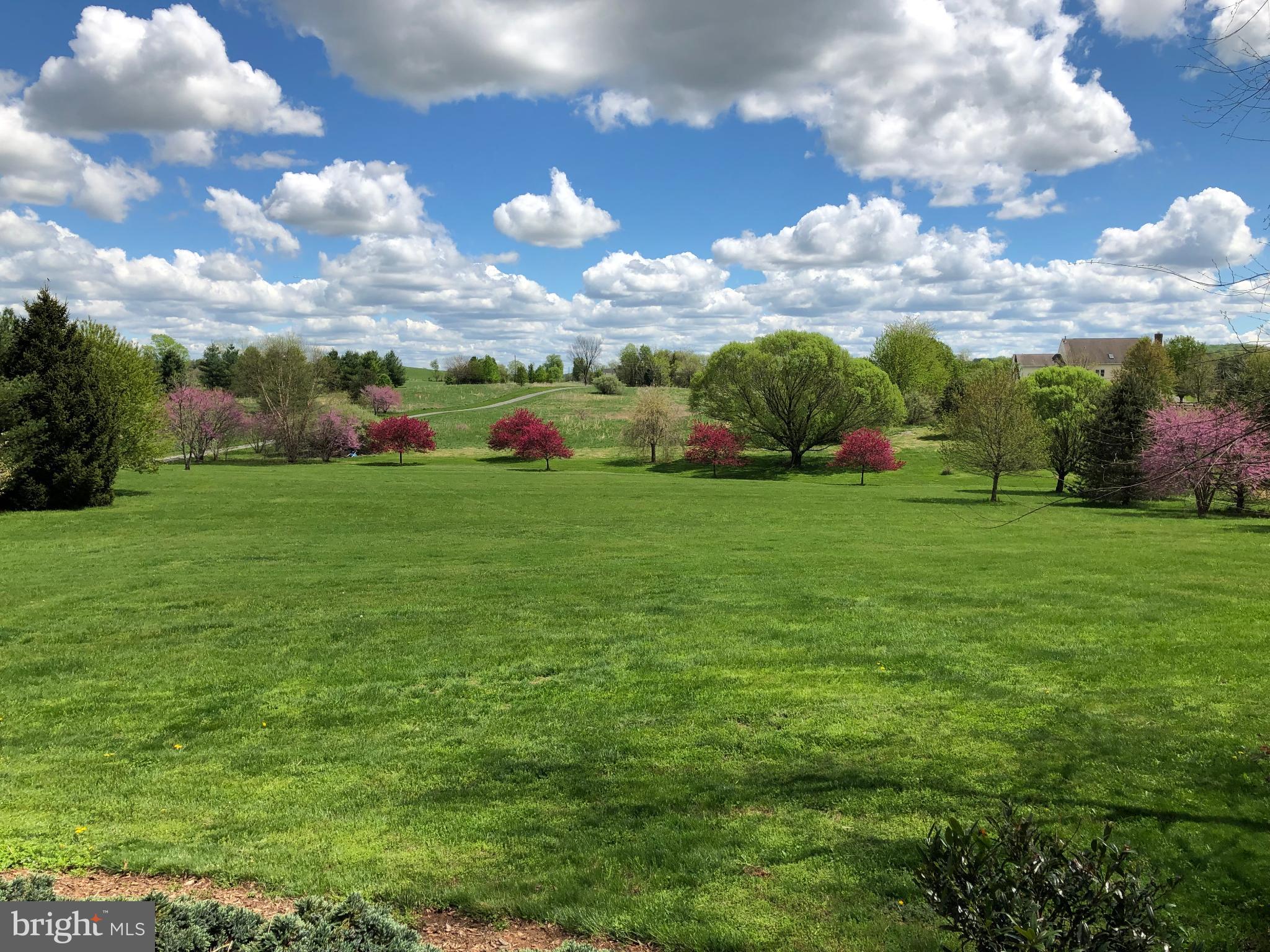 15371 Limestone School Road Leesburg, VA 20176 - Photo 7 of 54 Front yard spring landscape under blue skies.