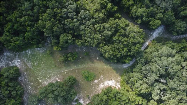 a view of a lake in a forest
