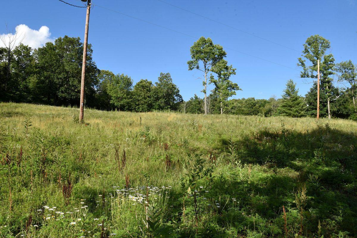 6280 Smith Run Road Glouster, OH 45732 - Photo 7 of 16