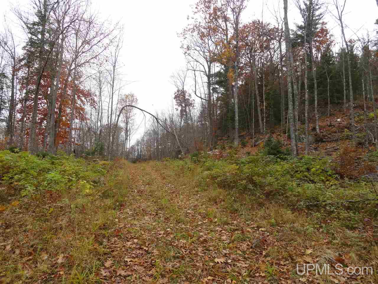 80-acres Co Rd Gga (aka Red Road Champion, MI 49849 - Photo 14 of 26