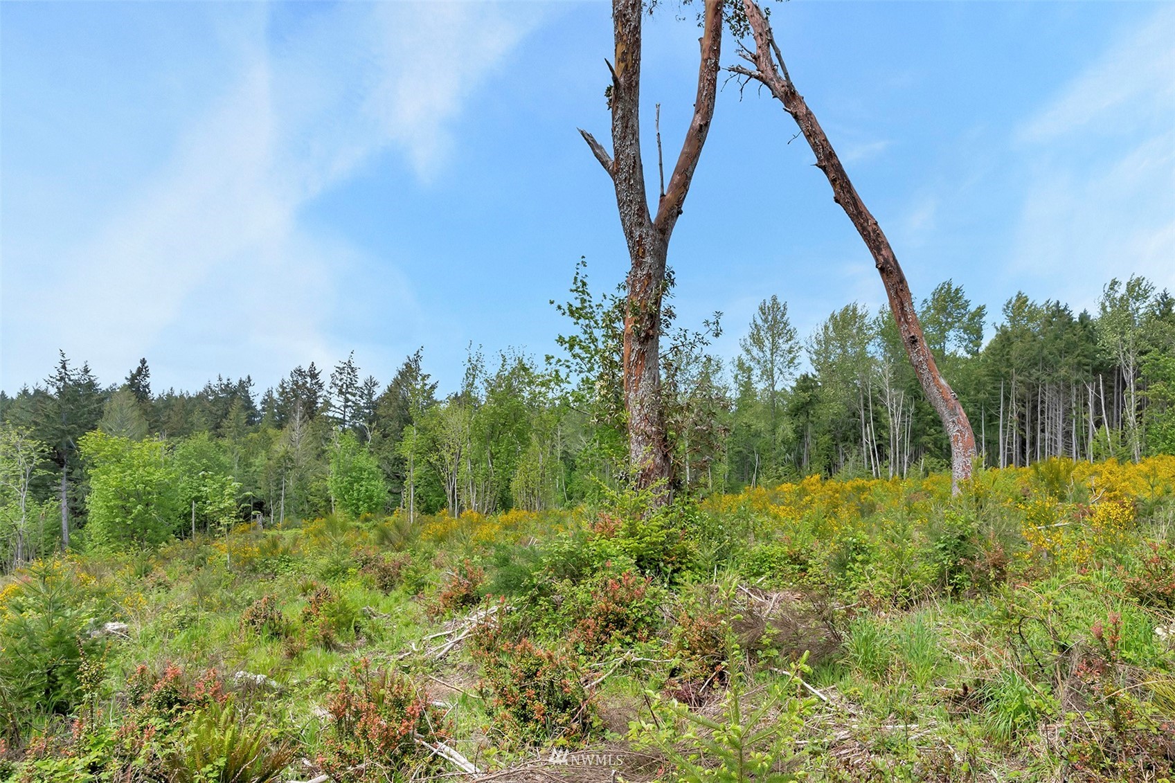 4411 Mahncke Road Southwest Longbranch, WA 98351 - Photo 25 of 28 Gallery Image 25