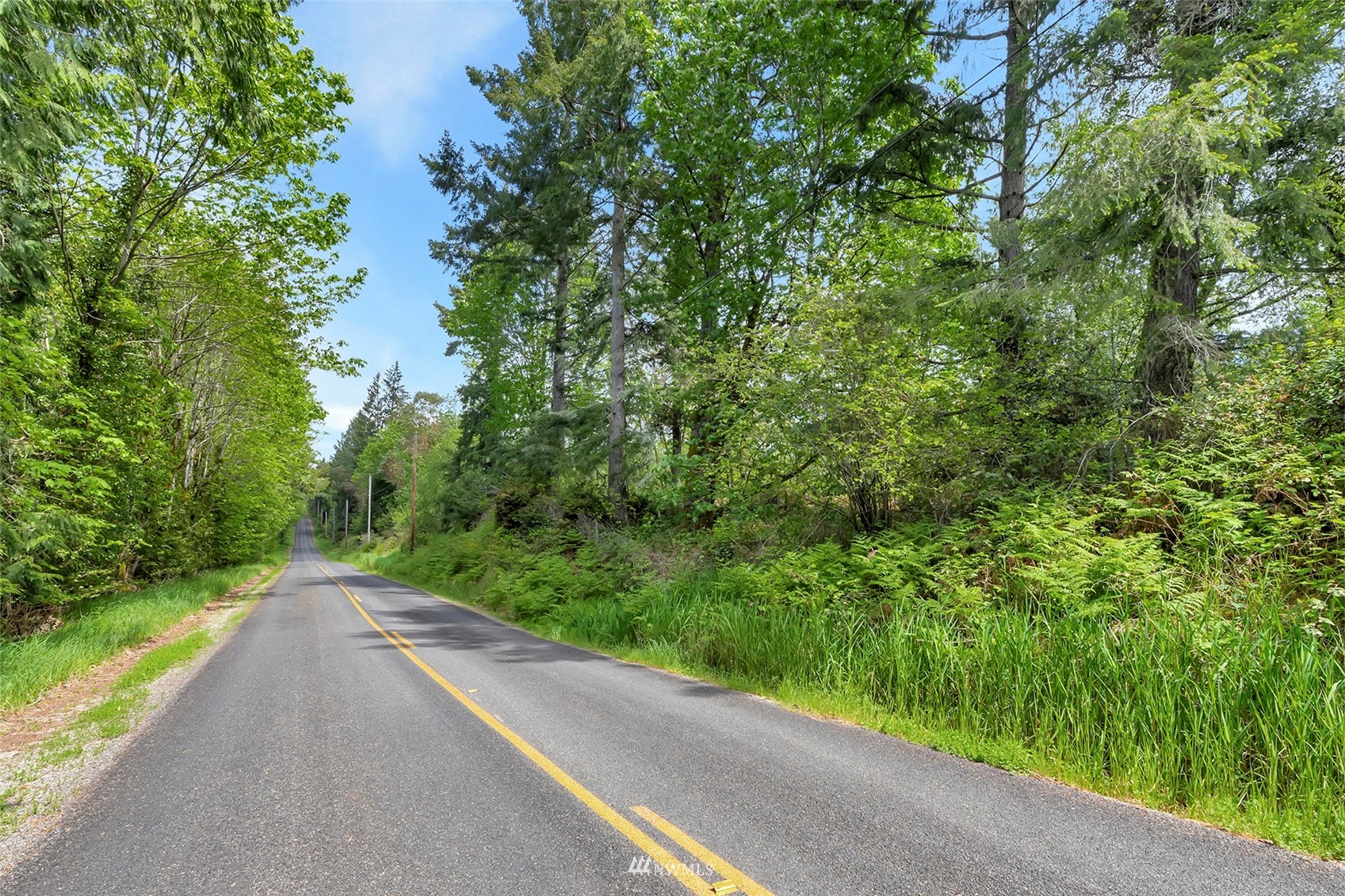 4411 Mahncke Road Southwest Longbranch, WA 98351 - Photo 3 of 28 Gallery Image 3