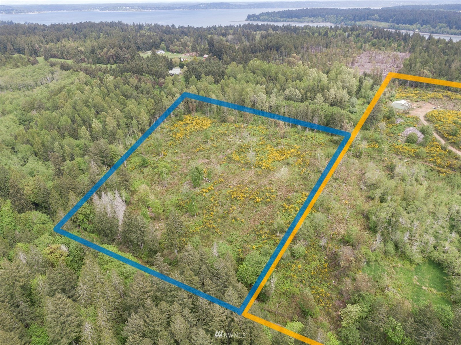 4411 Mahncke Road Southwest Longbranch, WA 98351 - Photo 6 of 28 Gallery Image 6