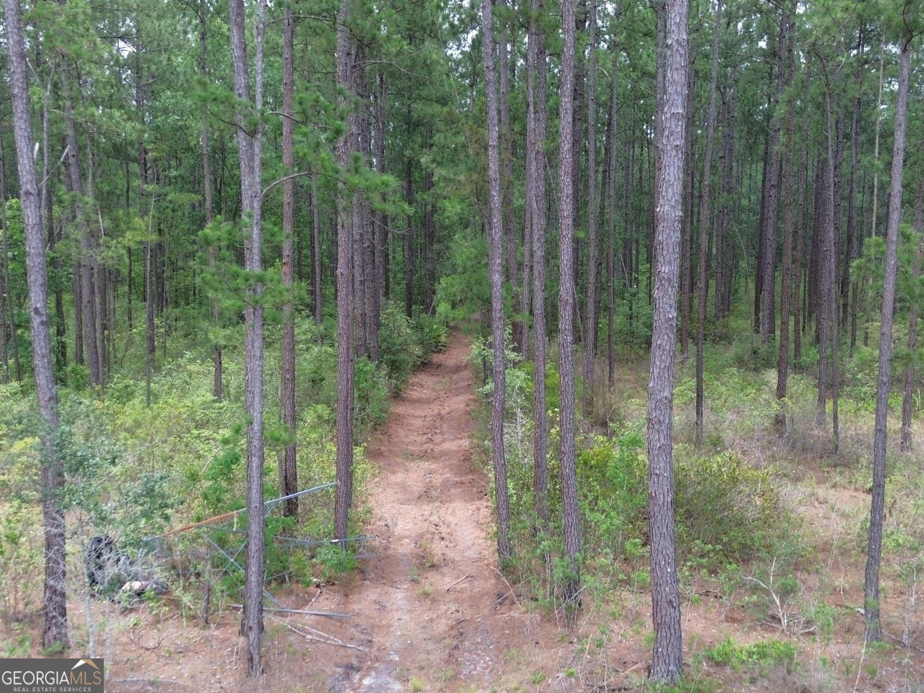 1 Bay Branch Church Road Claxton, GA 30417 - Photo 9 of 10