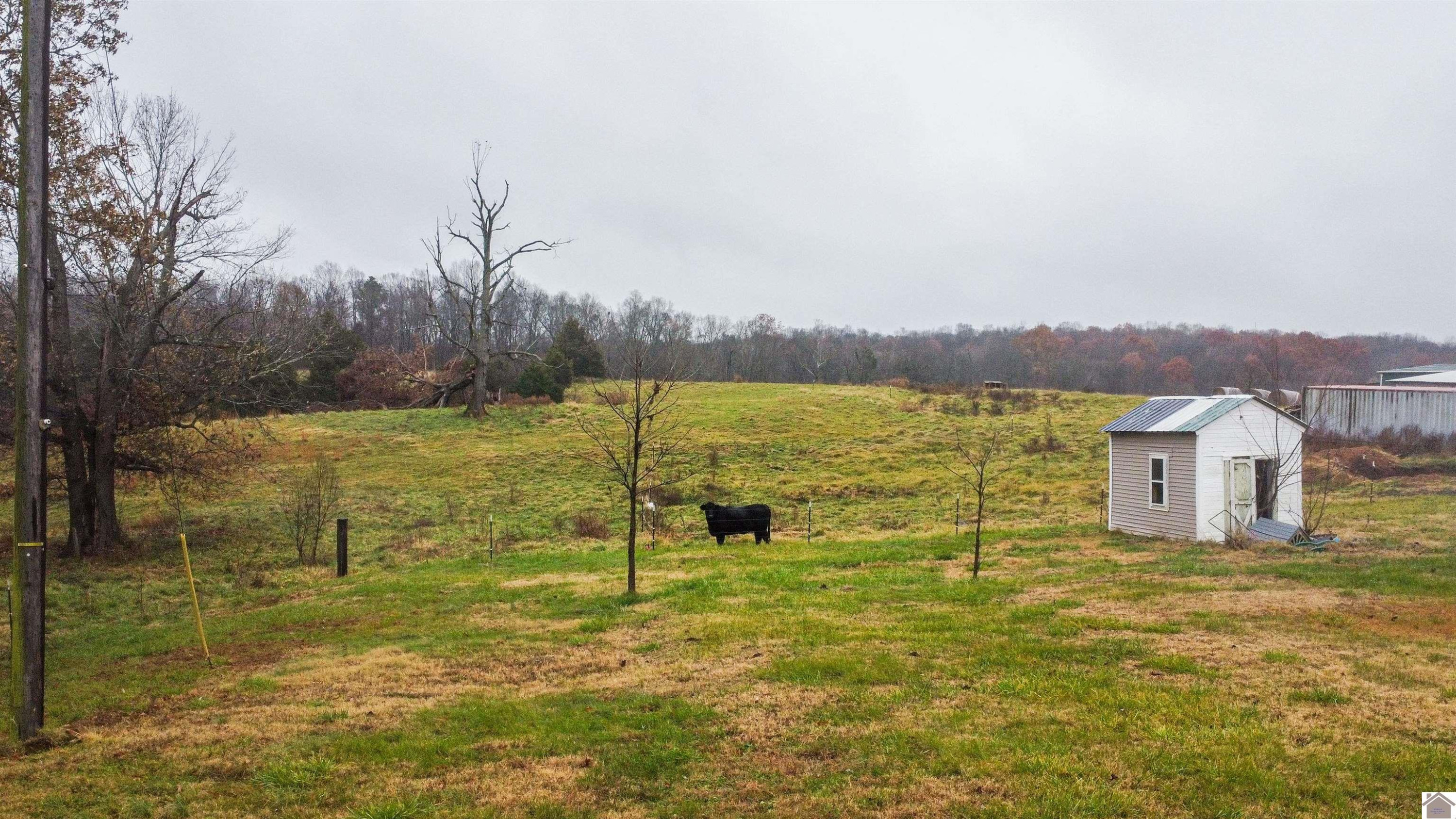 2820 Curd Road Benton, KY 42025 - Photo 9 of 34 Photo 9