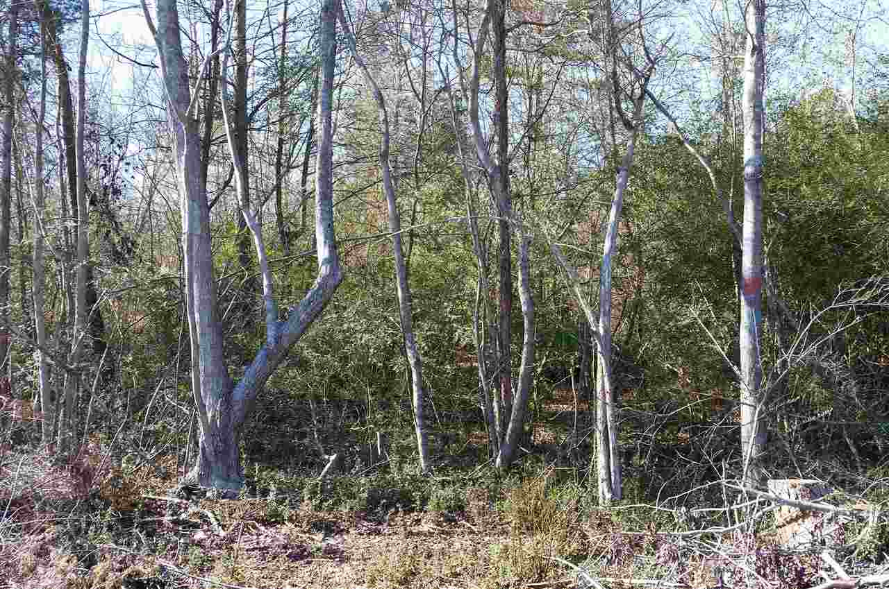 Chicken Bridge Road Pittsboro, NC 27312 - Photo 6 of 12 Wooded area near creek