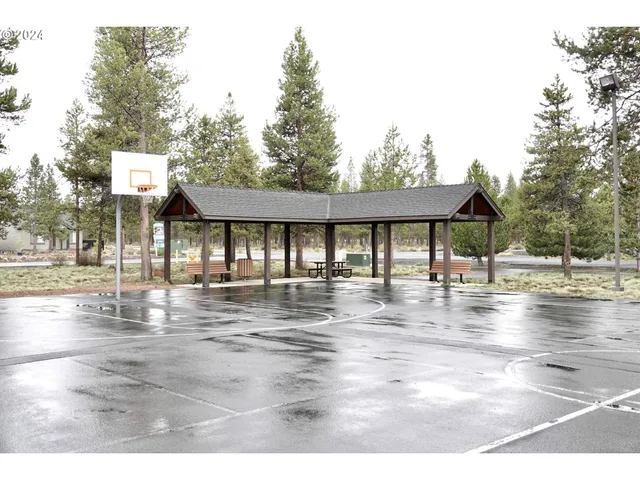 a view of a garden with trees