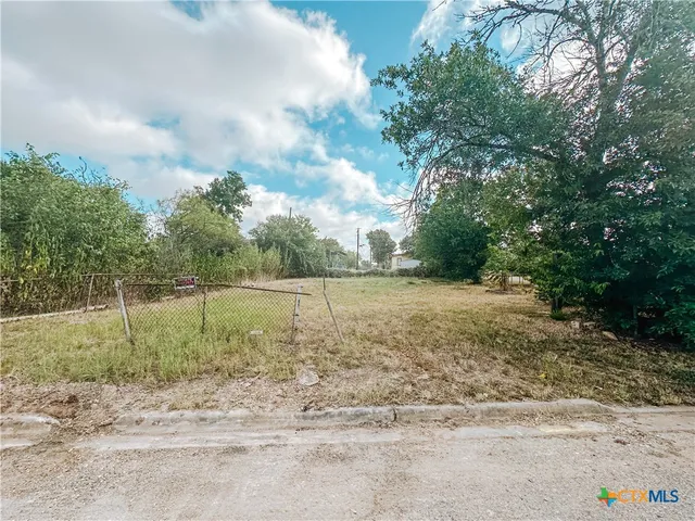 a view of a yard with large trees