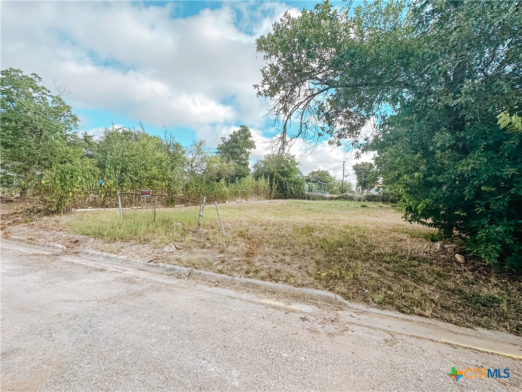 112 Field Street Luling, TX 78648 - Photo 4 of 6 a view of a yard with large trees