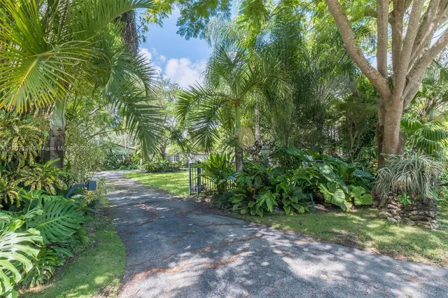 a view of a yard with plants and a trees