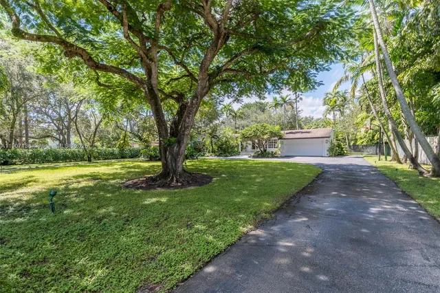 a view of a yard with plants and large trees