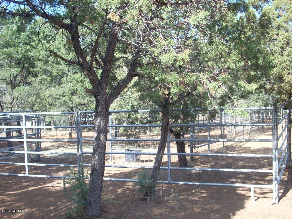 3079 Ponderosa Road Overgaard, AZ 85933 - Photo 15 of 15 15