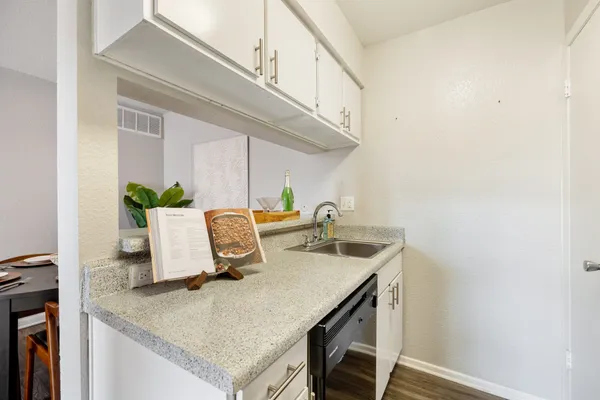 a kitchen with a sink a counter and a potted plant