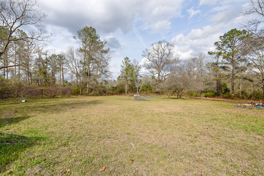 7425 Caton Road Red Level, AL 36474 - Photo 6 of 27