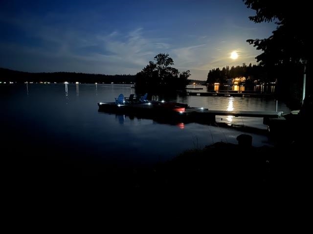43827 Silver Beach Road Loon Lake, WA 99148 - Photo 40 of 45 Gallery Image 40