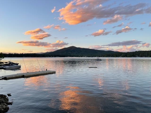 43827 Silver Beach Road Loon Lake, WA 99148 - Photo 43 of 45 Gallery Image 43