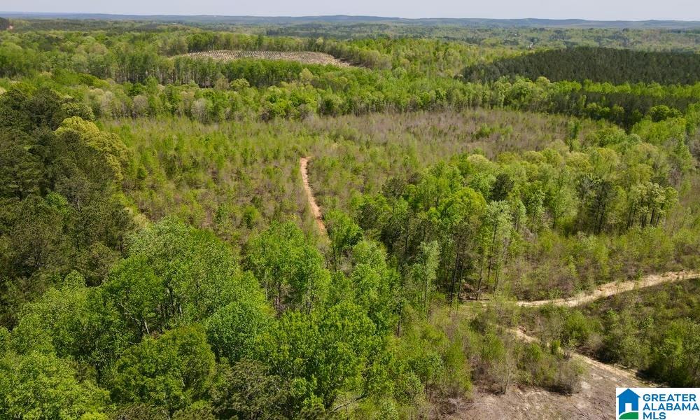 0 Landfill Road, Unit 1 Ashland, AL 36251 - Photo 12 of 15