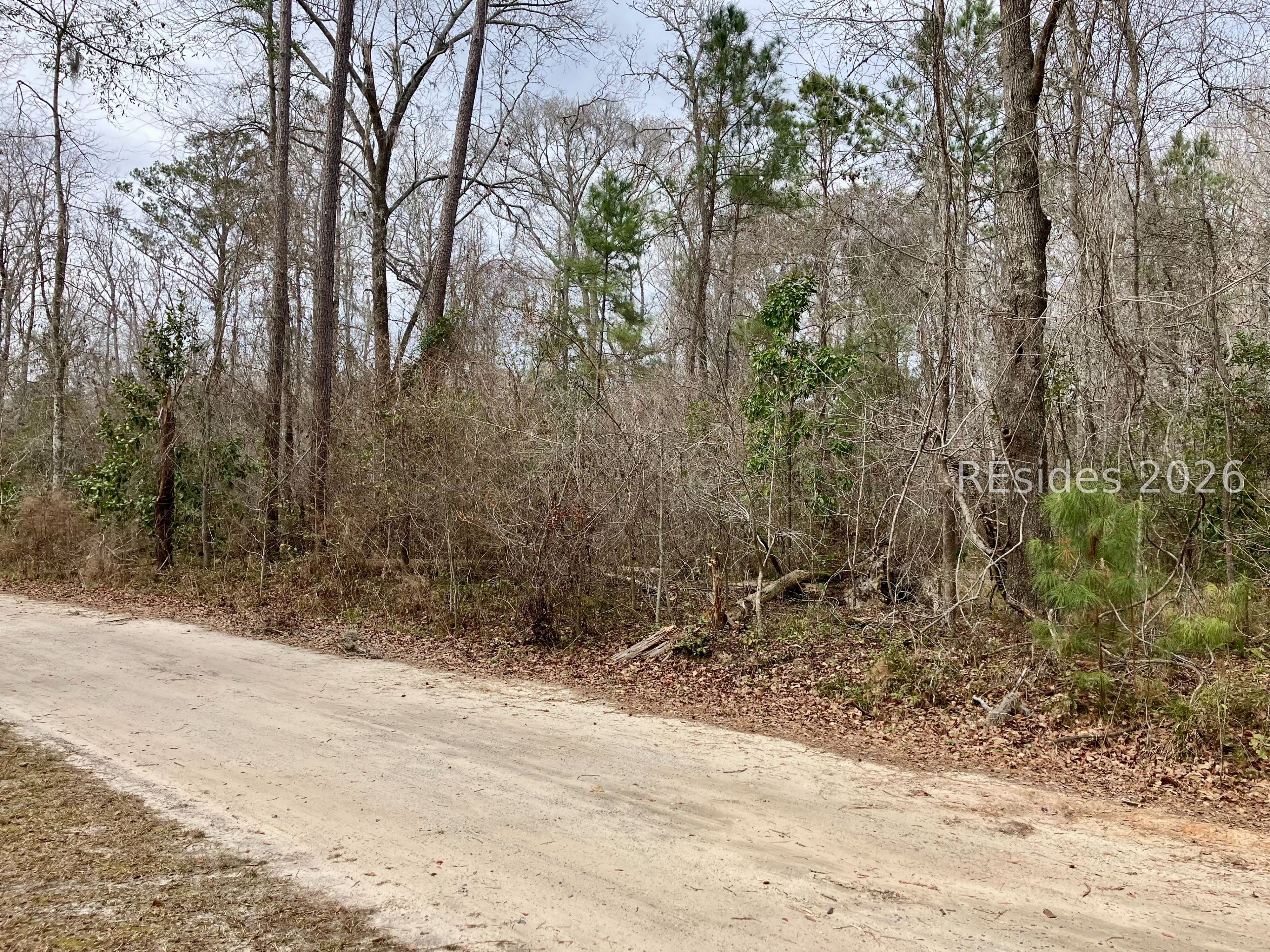 0 Delta Estates Road Hardeeville, SC 29927 - Photo 2 of 5