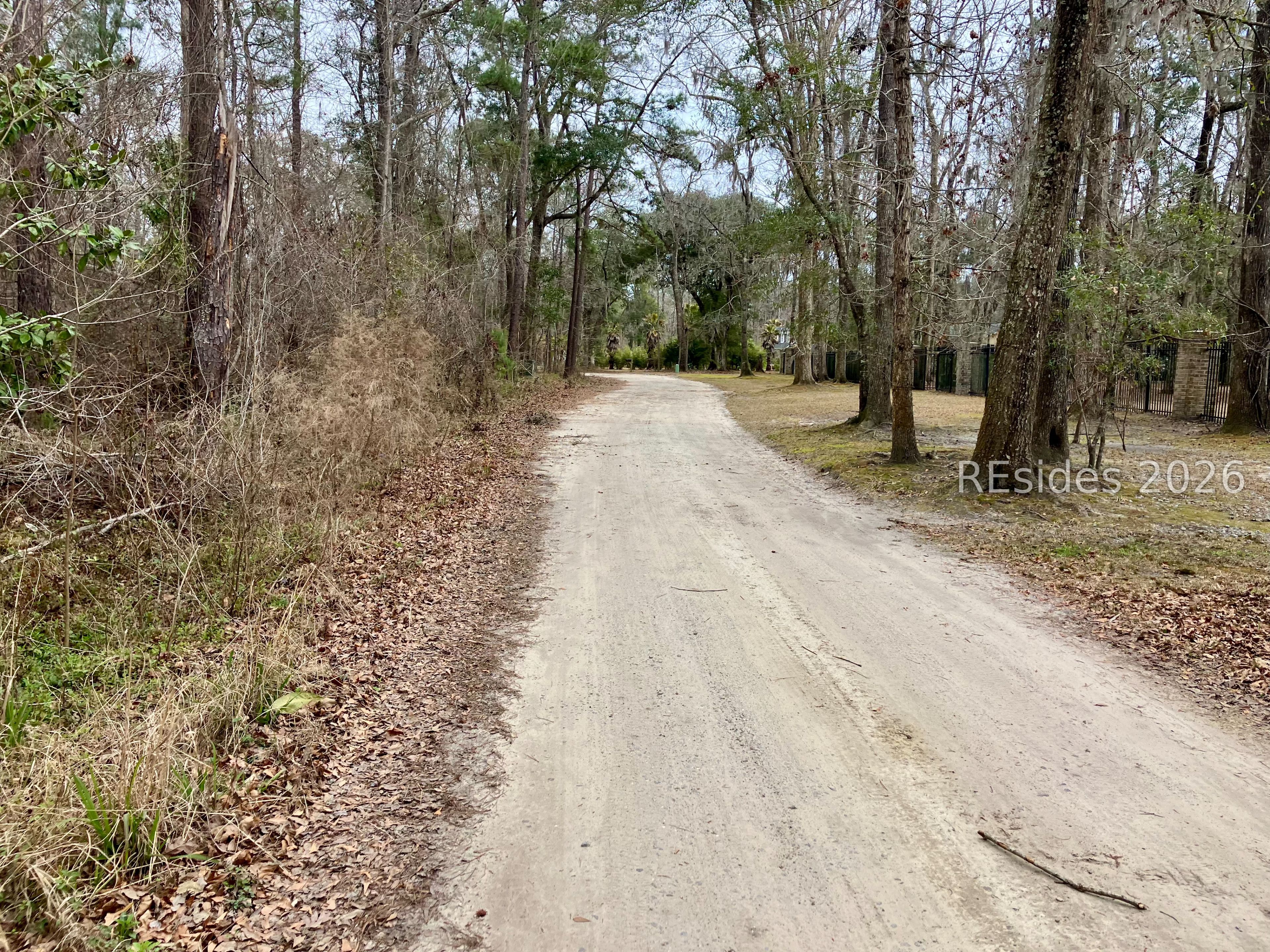 0 Delta Estates Road Hardeeville, SC 29927 - Photo 3 of 5