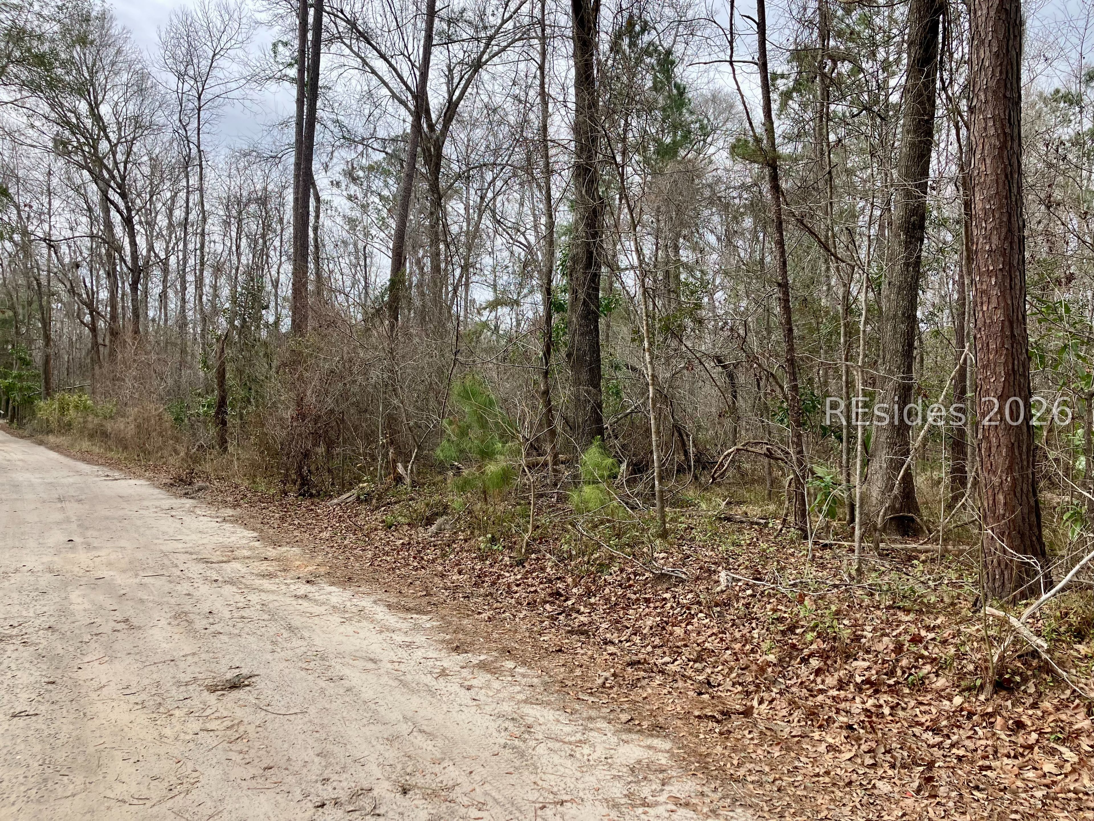 0 Delta Estates Road Hardeeville, SC 29927 - Photo 4 of 5