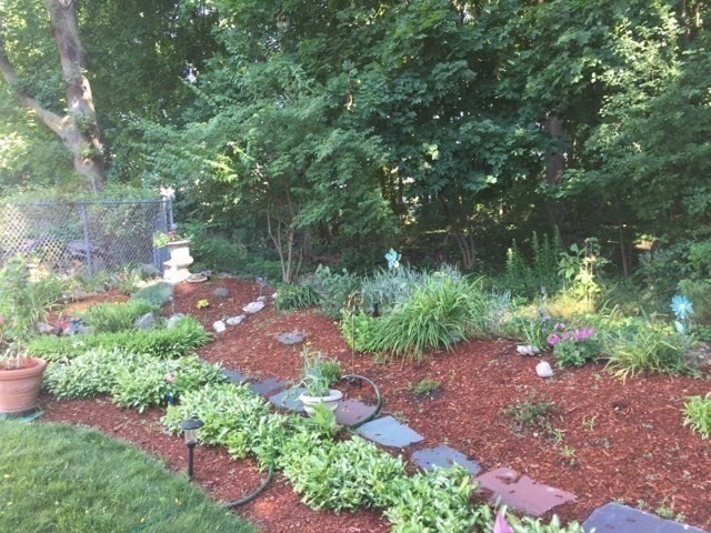 223 Lawrence Road Medford, MA 02155 - Photo 35 of 40 a view of a garden with plants and large trees