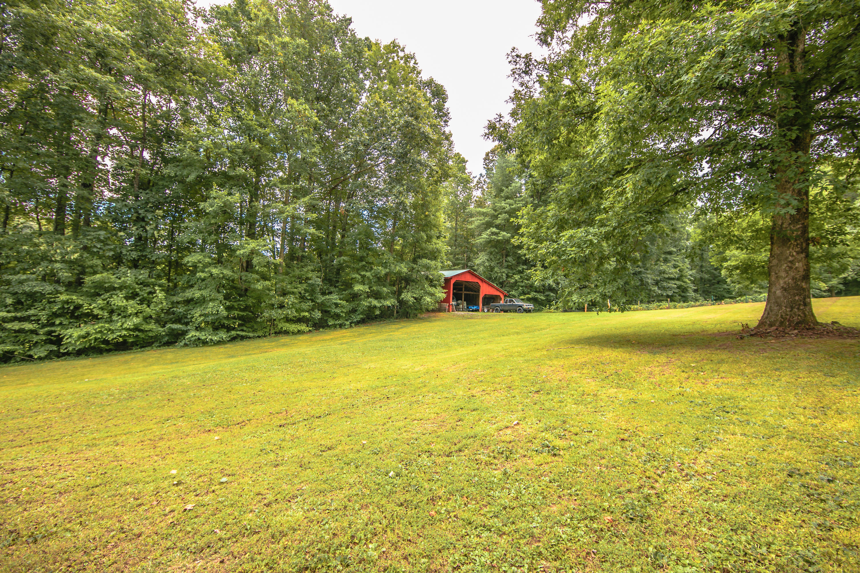 195 Rock Bridge Road Harriman, TN 37748 - Photo 22 of 25 0M6A5319-1