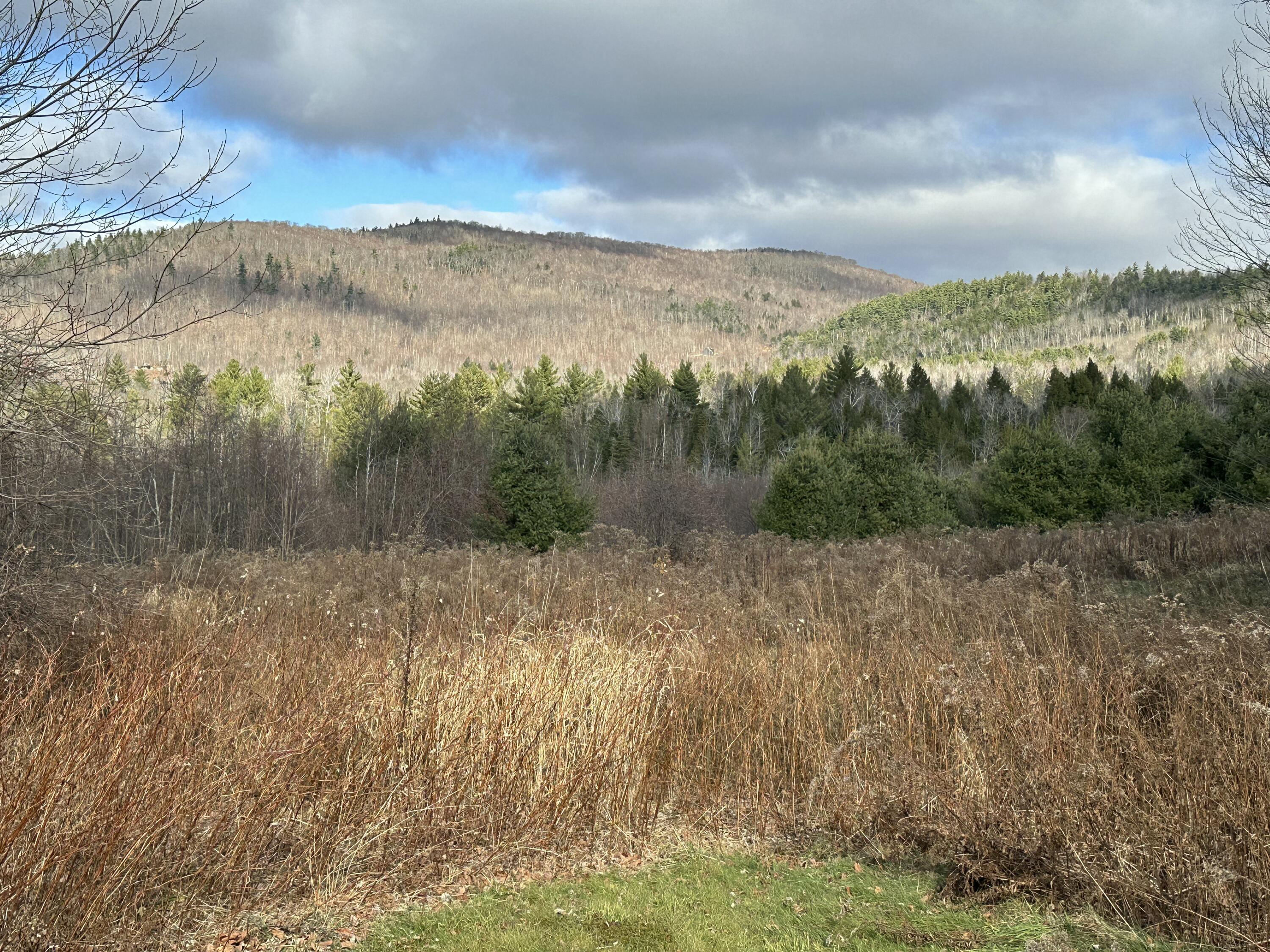 89 Holman Road Dixfield, ME 04224 - Photo 10 of 87 IMG_3923