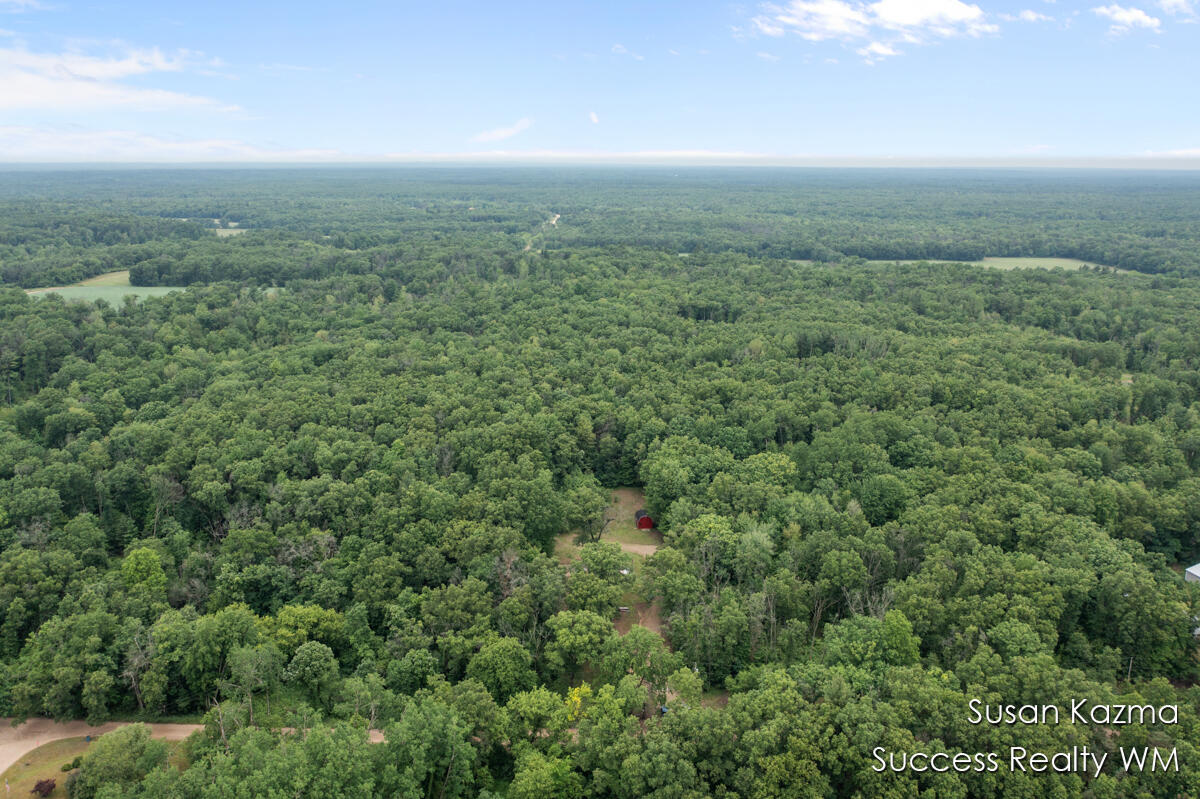 10 West Waterwheel Road Pierson, MI 49339 - Photo 1 of 8 Aerial Photo