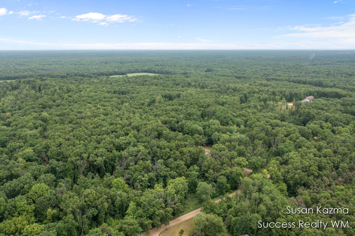 10 West Waterwheel Road Pierson, MI 49339 - Photo 2 of 8 Aerial Photo