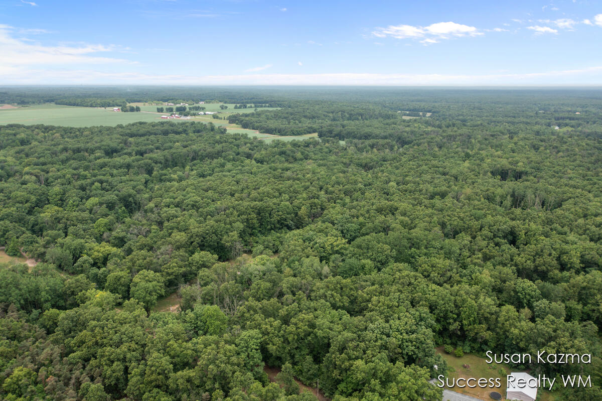 10 West Waterwheel Road Pierson, MI 49339 - Photo 3 of 8 Aerial Photo