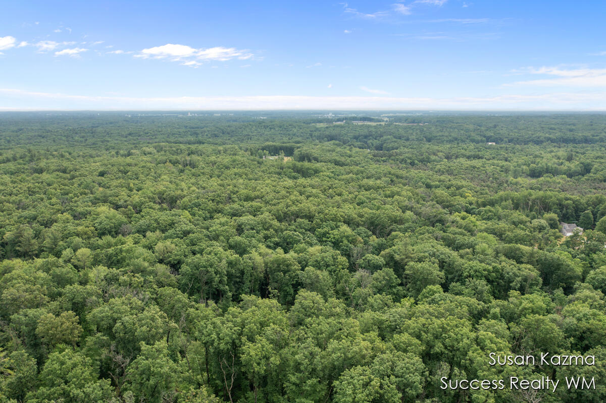 10 West Waterwheel Road Pierson, MI 49339 - Photo 4 of 8 Aerial Photo