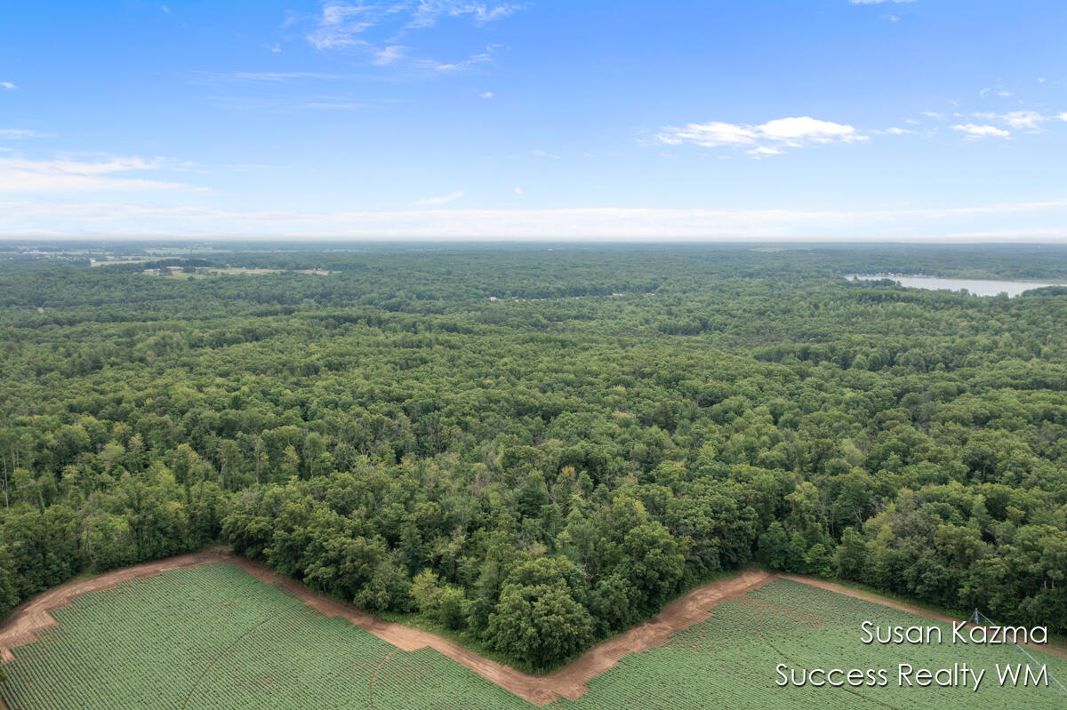 10 West Waterwheel Road Pierson, MI 49339 - Photo 5 of 8 Aerial Photo