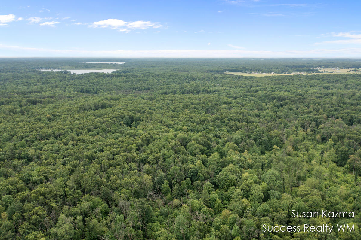 10 West Waterwheel Road Pierson, MI 49339 - Photo 6 of 8 Aerial Photo