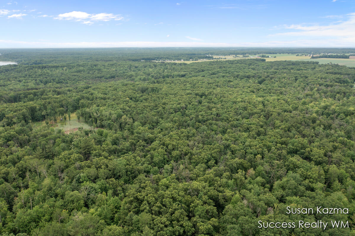 10 West Waterwheel Road Pierson, MI 49339 - Photo 7 of 8 Aerial Photo