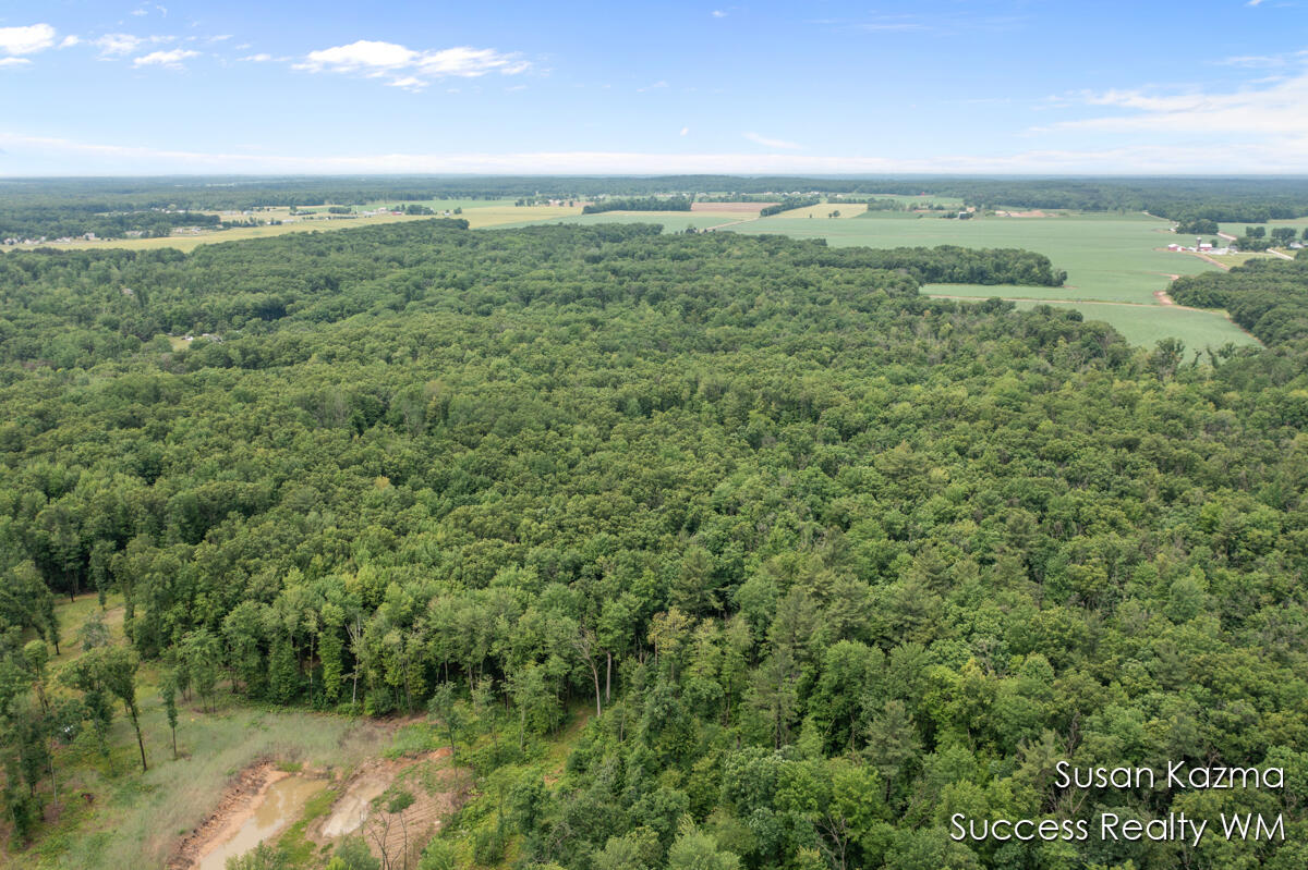 10 West Waterwheel Road Pierson, MI 49339 - Photo 8 of 8 Aerial Photo