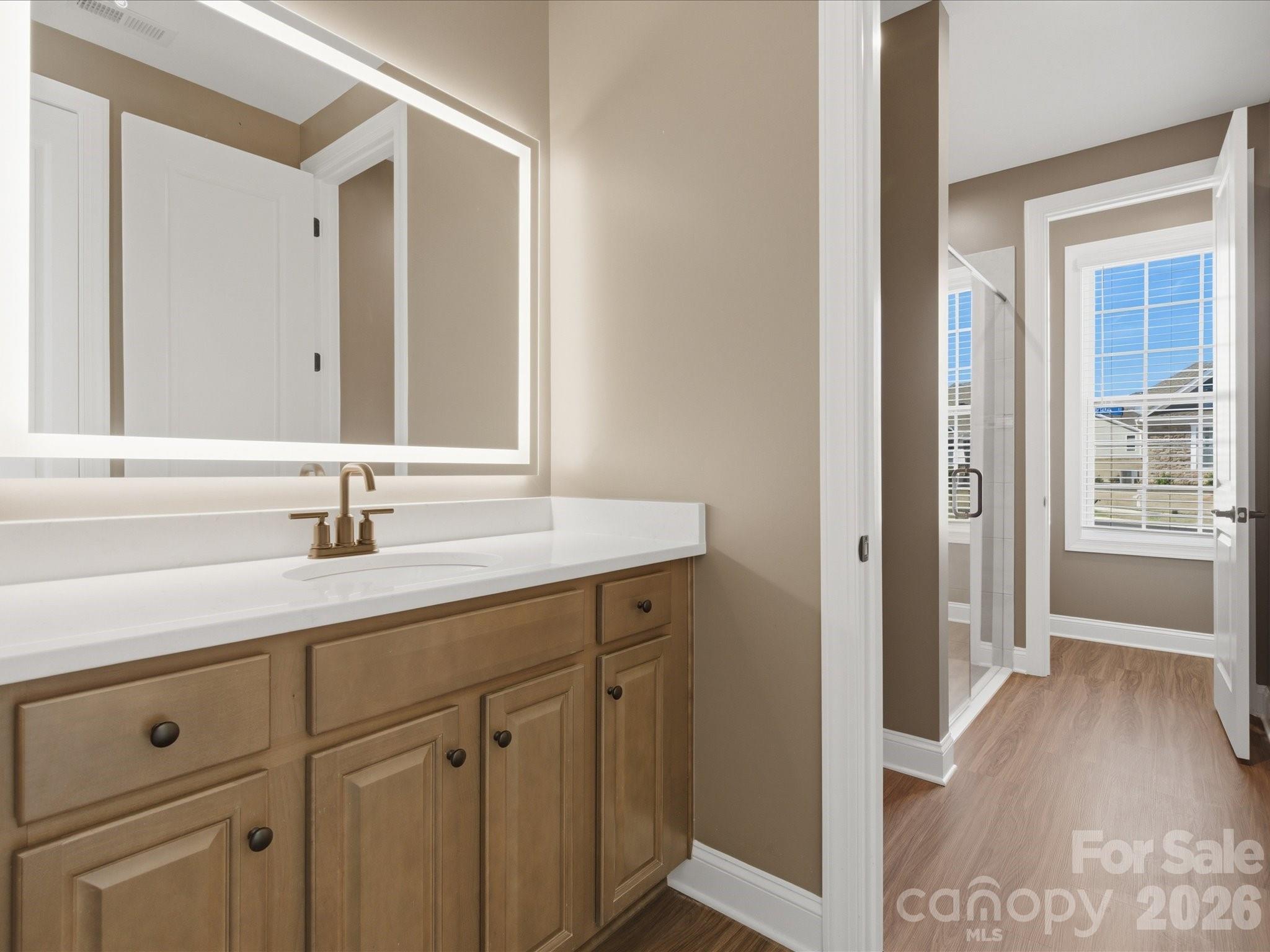 7004 Treetop Court York, SC 29745 - Photo 15 of 47 a en suite bathroom with a sink double vanity and a mirror