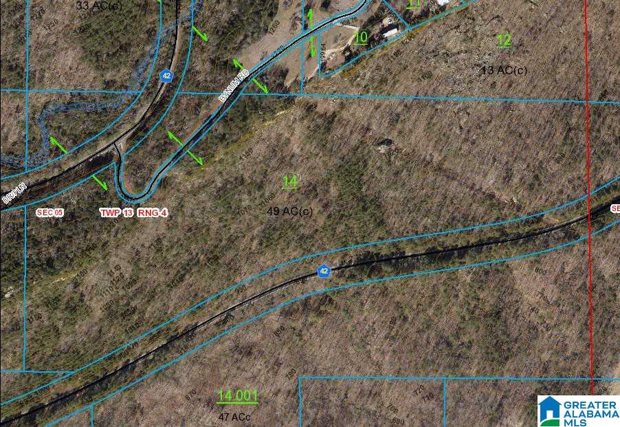 49-acres Chandler Mountain Road, Unit 1 Steele, AL 35987 - Photo 22 of 23