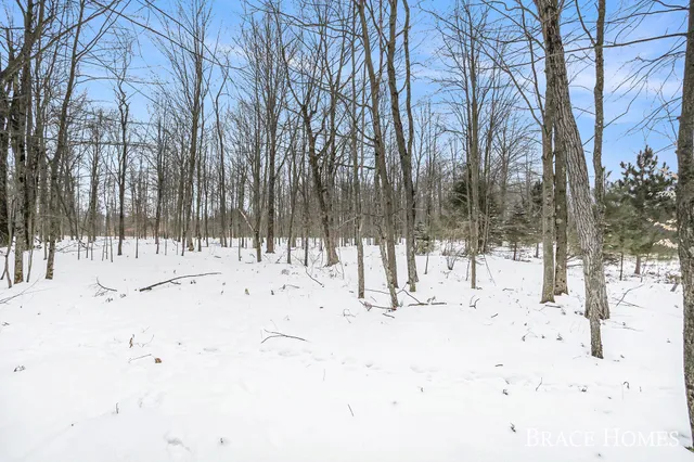 $30,000 | 6135 Fawn Lake Drive, Stanwood, MI 49346