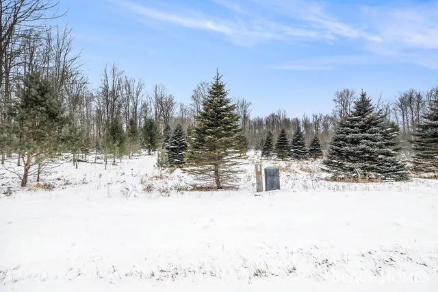 $30,000 | 6135 Fawn Lake Drive, Stanwood, MI 49346